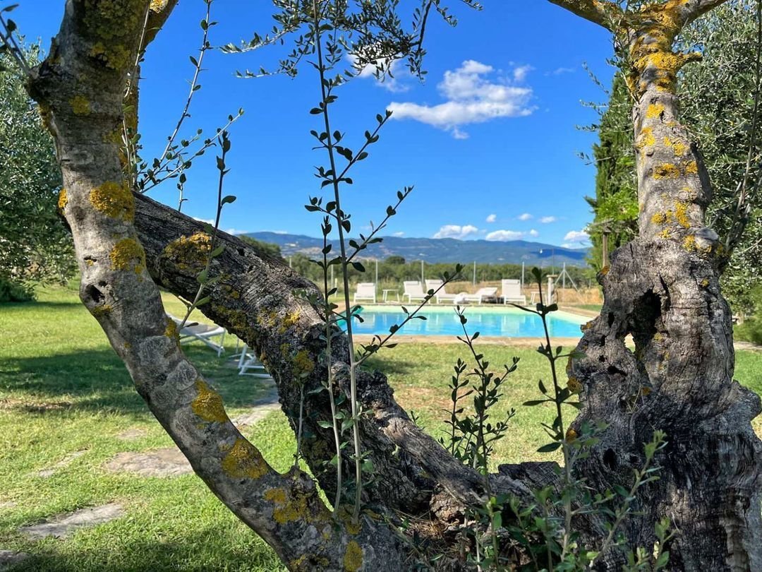 Villa in Center, Cortona, Tuscany 2 - 13195372