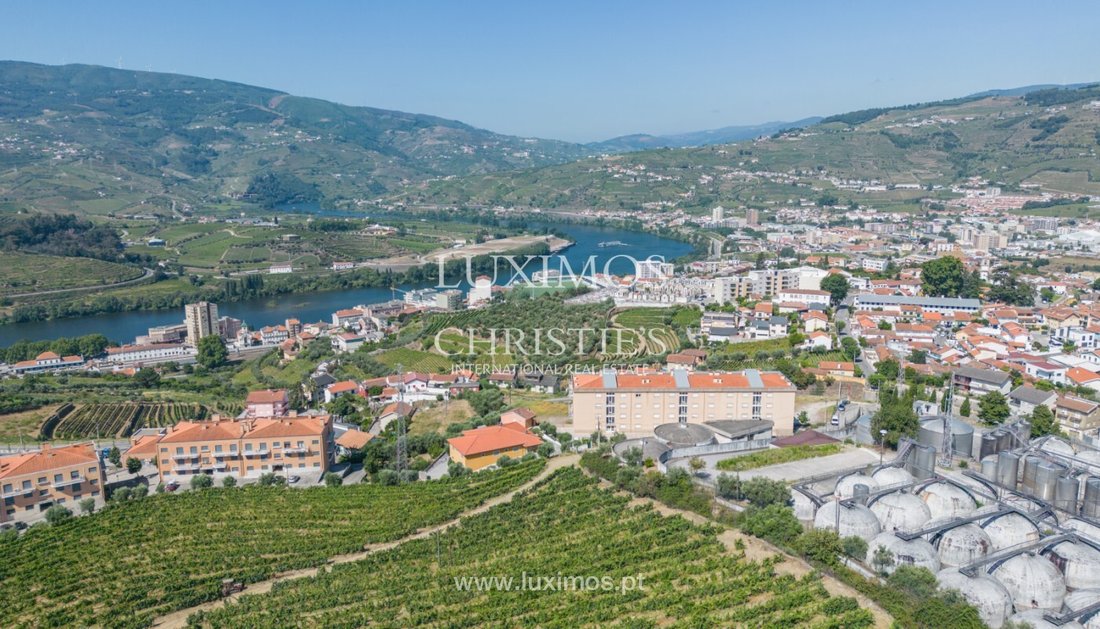 Farm Ranch in Peso da Régua, Vila Real District, Portugal 4 - 13194085