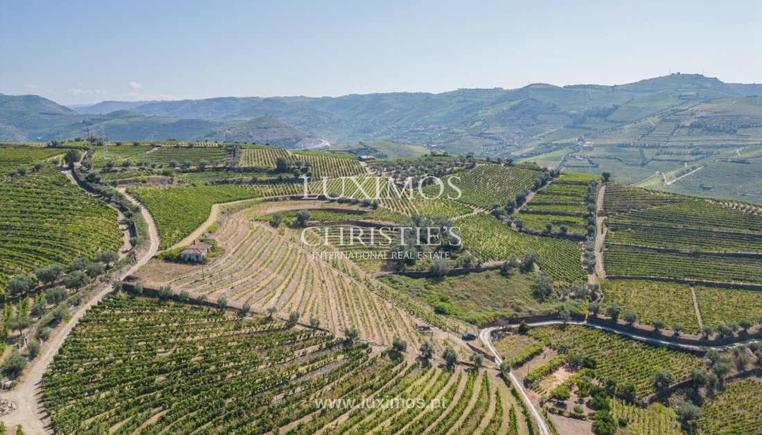 Farm Ranch in Peso da Régua, Vila Real District, Portugal 3 - 13194085