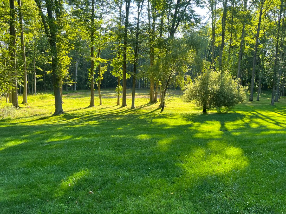 Land in Palisades, New York, United States 5 - 13195466