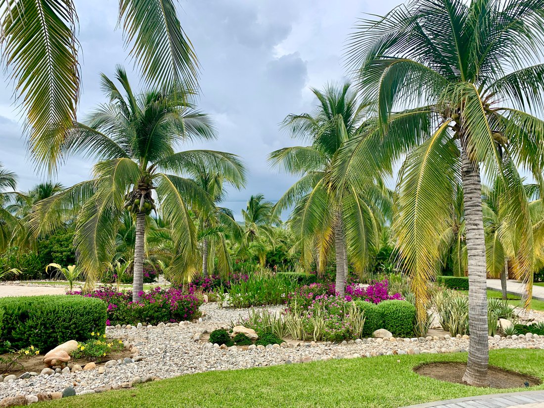 Casa Palmarena, Puerto Escondido In Los Naranjos, Oaxaca, Mexico For