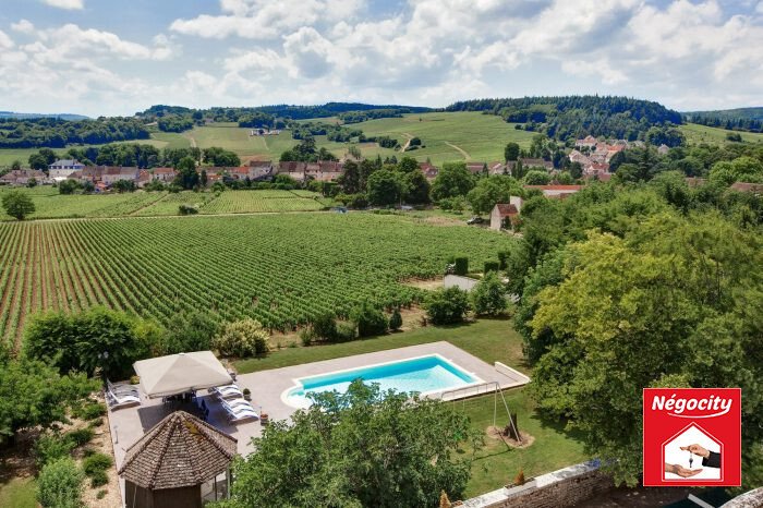 Château des Vignes Dorées: A Haussmann Jewel Over Mercurey’s Rolling Hills