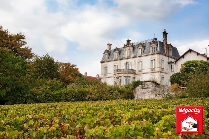 Château des Vignes Dorées: A Haussmann Jewel Over Mercurey’s Rolling Hills