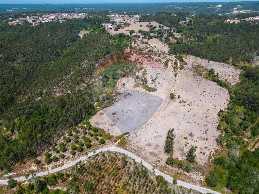 Finca in Souto da Carpalhosa e Ortigosa, Leiria District, Portugal 5 - 13196557