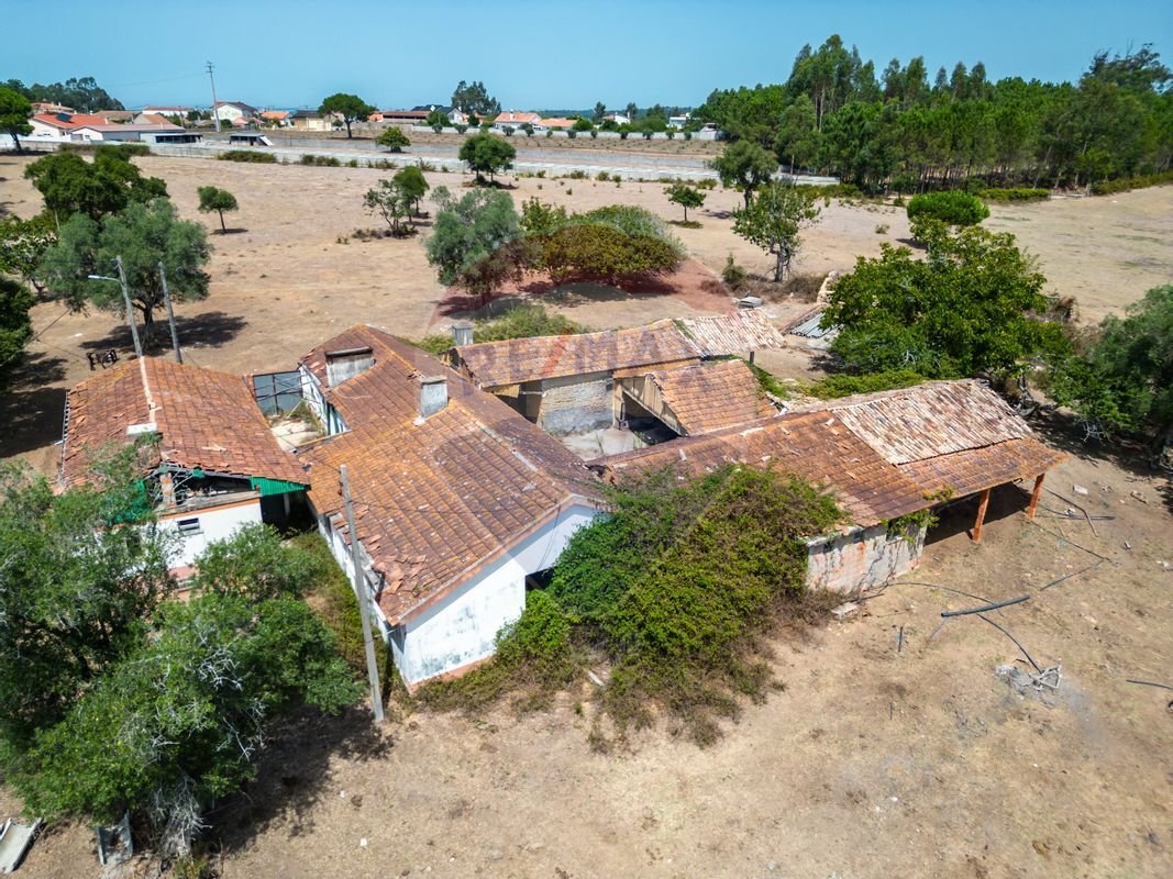 Finca in Souto da Carpalhosa e Ortigosa, Leiria District, Portugal 4 - 13196557