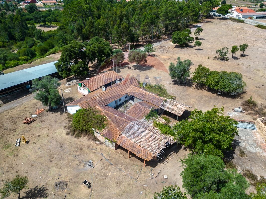 Finca in Souto da Carpalhosa e Ortigosa, Leiria District, Portugal 3 - 13196557