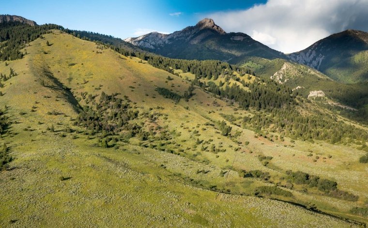 Springhill Ridge, Belgrade Montana