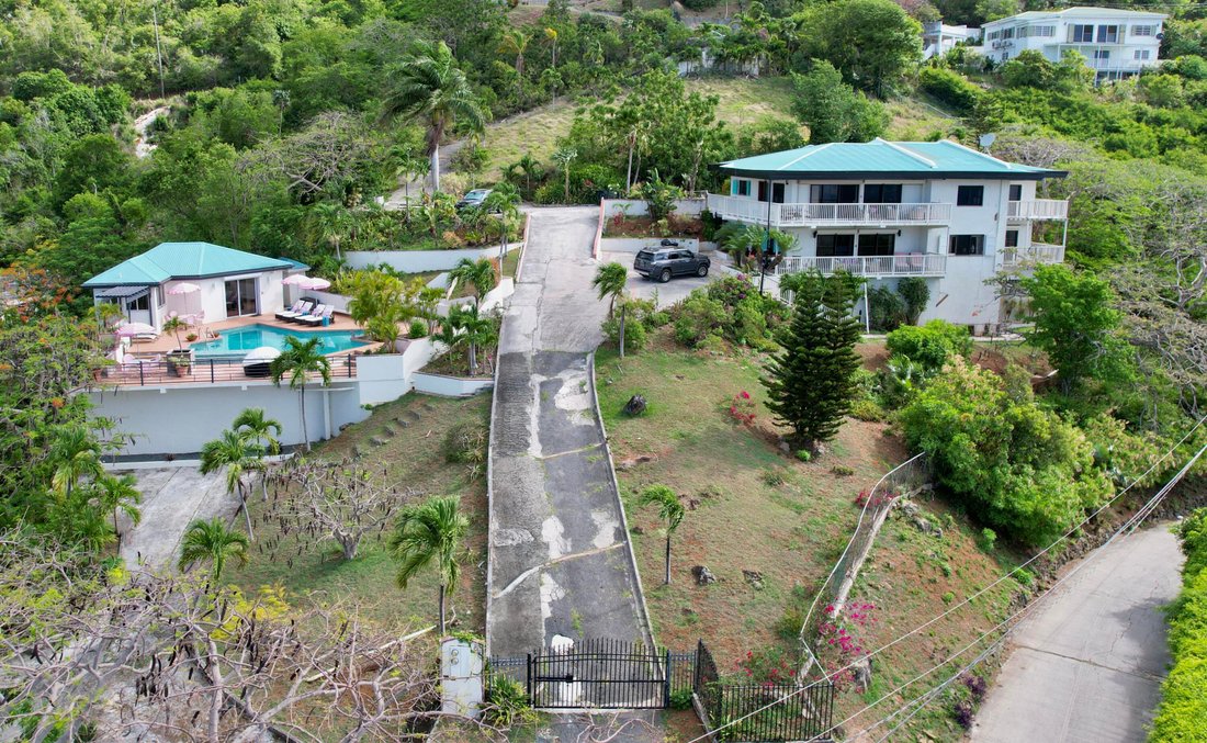 Rock samphire growing on a rocky cliffside