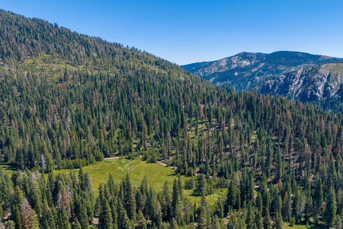 80 Acres Of Pristine Land In The Middle In Graeagle, California, United