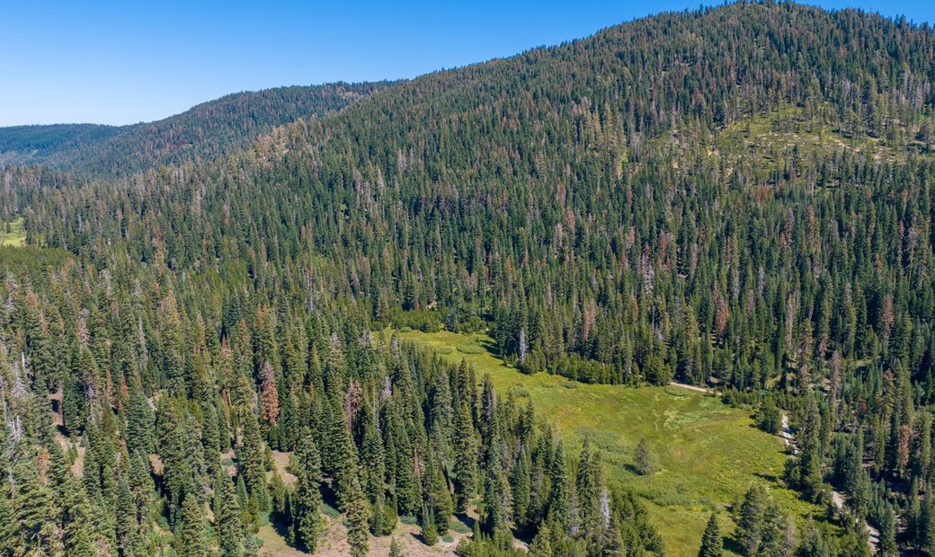 80 Acres Of Pristine Land In The Middle In Graeagle, California, United