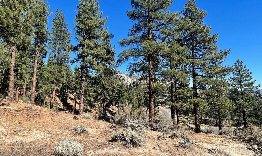 Build A Dream Home In Clear Creek Tahoe In Genoa, Nevada, United States