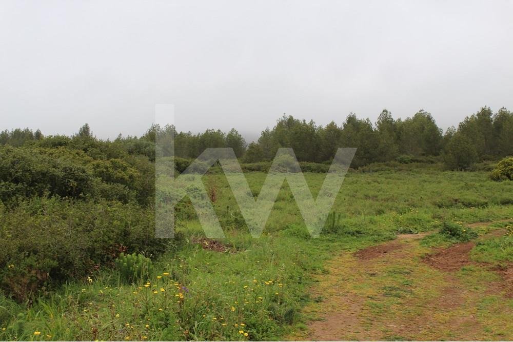 Land for sale in Cascais, Portugal — €3,200,000