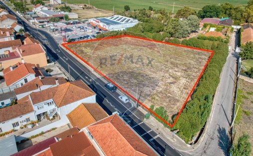 Terreno a Alpiarça, Distretto di Santarém, Portogallo 1