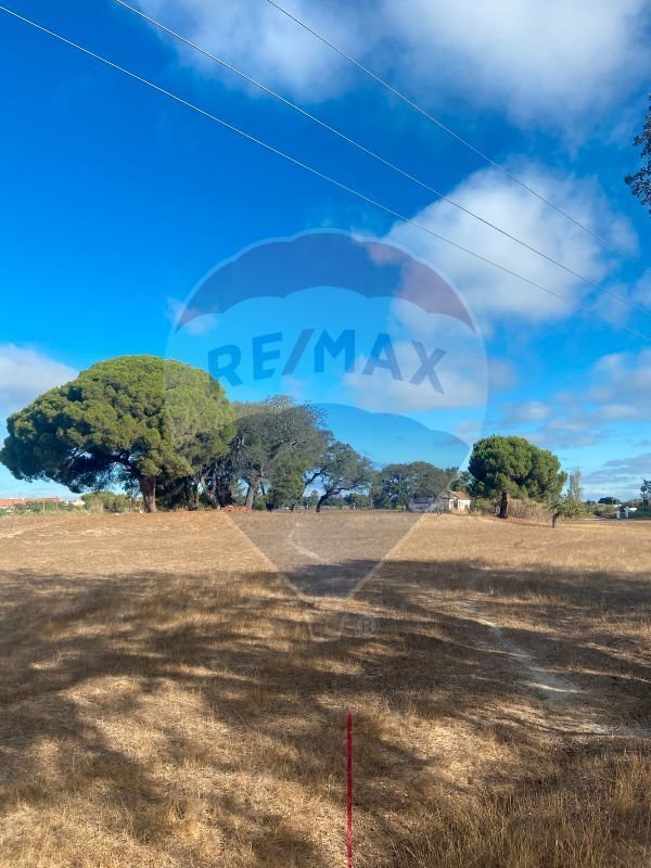 Farm Ranch in Moita, Setubal, Portugal 1 - 13220414