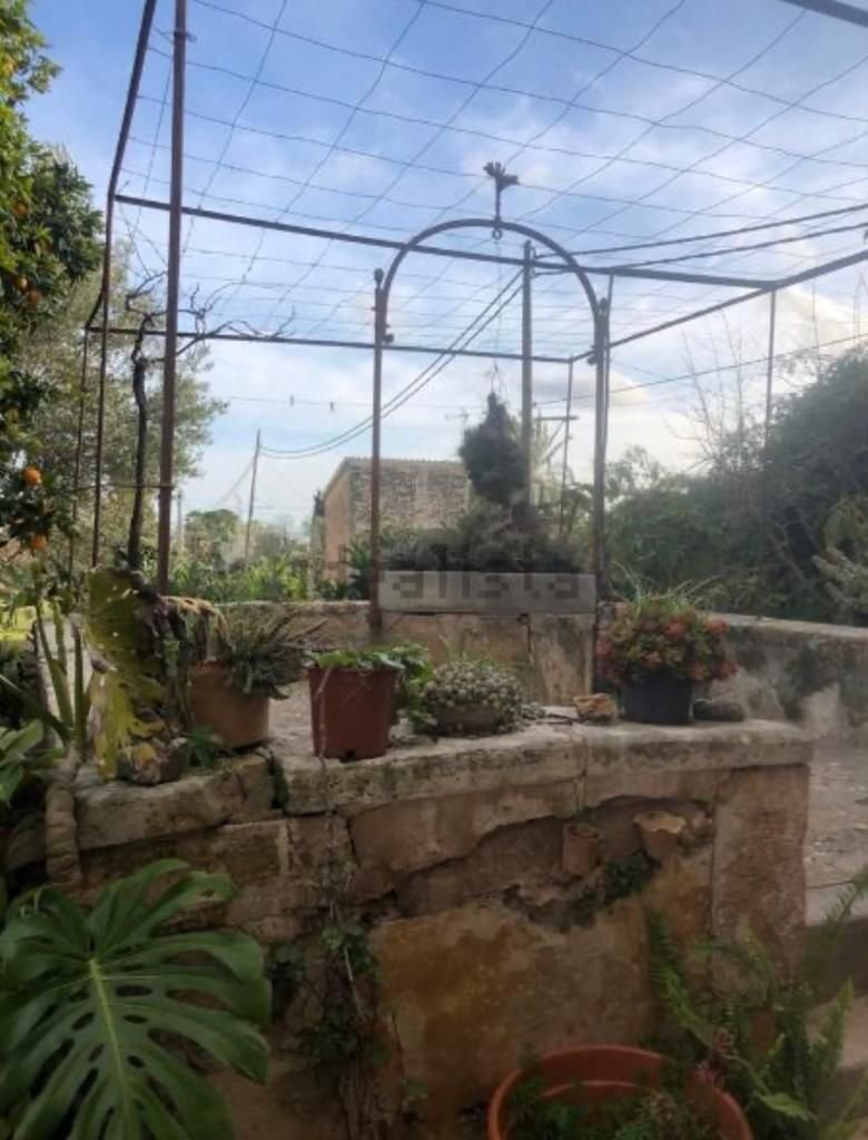 Villa in Palma, Balearic Islands, Spain 2 - 13218037