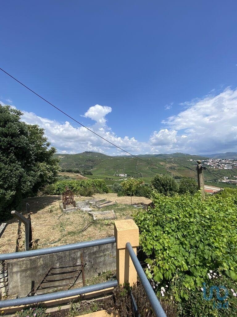 Peso Da Régua Farm In Peso Da Régua, Portugal For Sale (13223493)