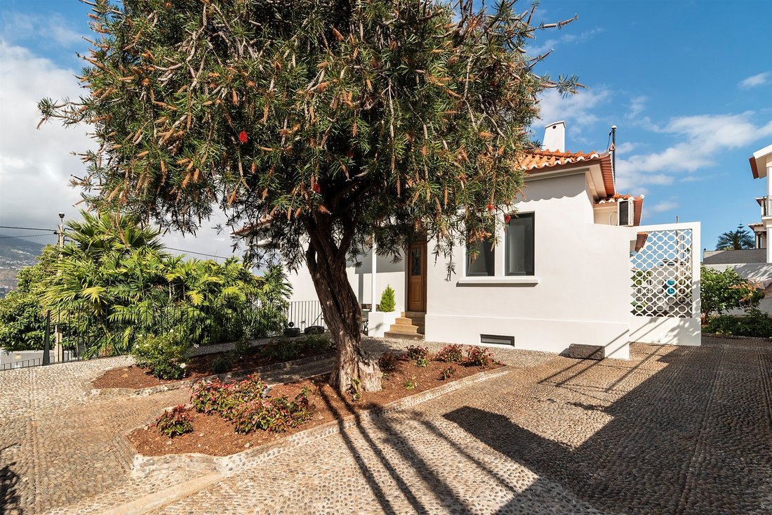 Haus in Funchal, Autonome Region Madeira, Portugal 1 - 13226052