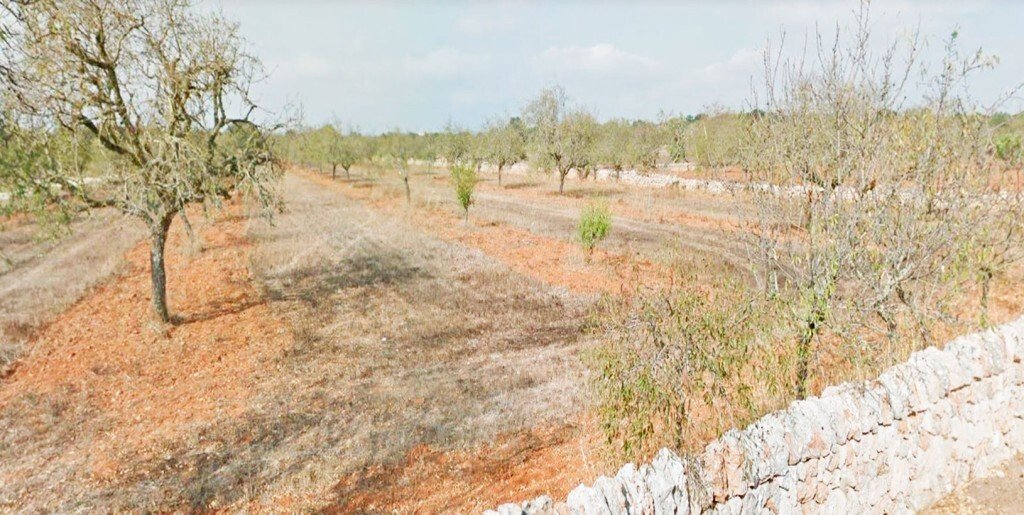Santanyi, Balearic Islands, Spain 5 - 13228226