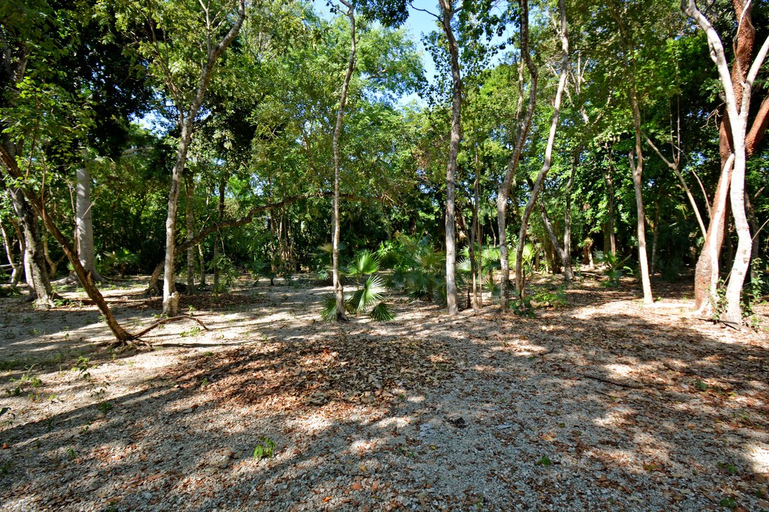 Land in Playa del Carmen, Quintana Roo, Mexico 1 - 13230028