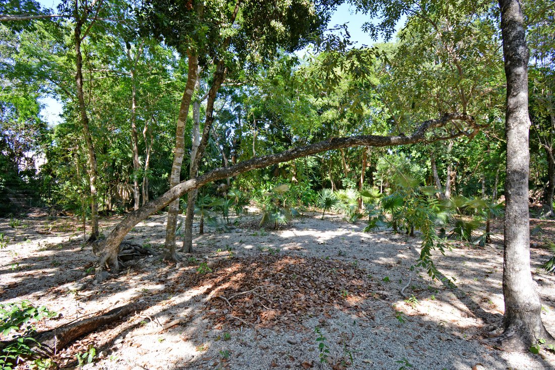 Land in Playa del Carmen, Quintana Roo, Mexico 4 - 13230028