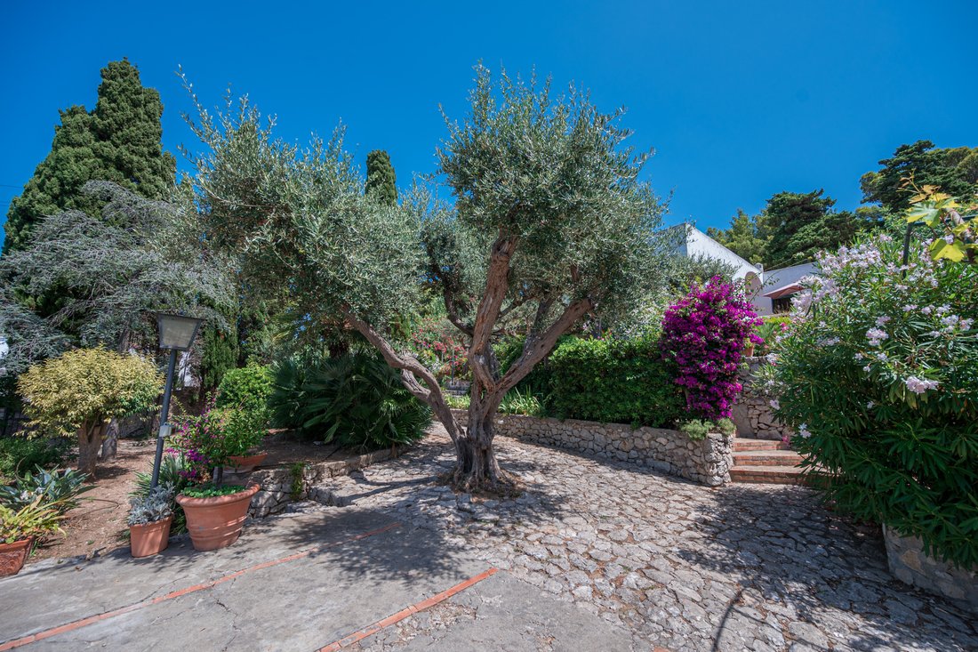 Luxury Residence In Anacapri’s Silvania Park In Anacapri, Campania