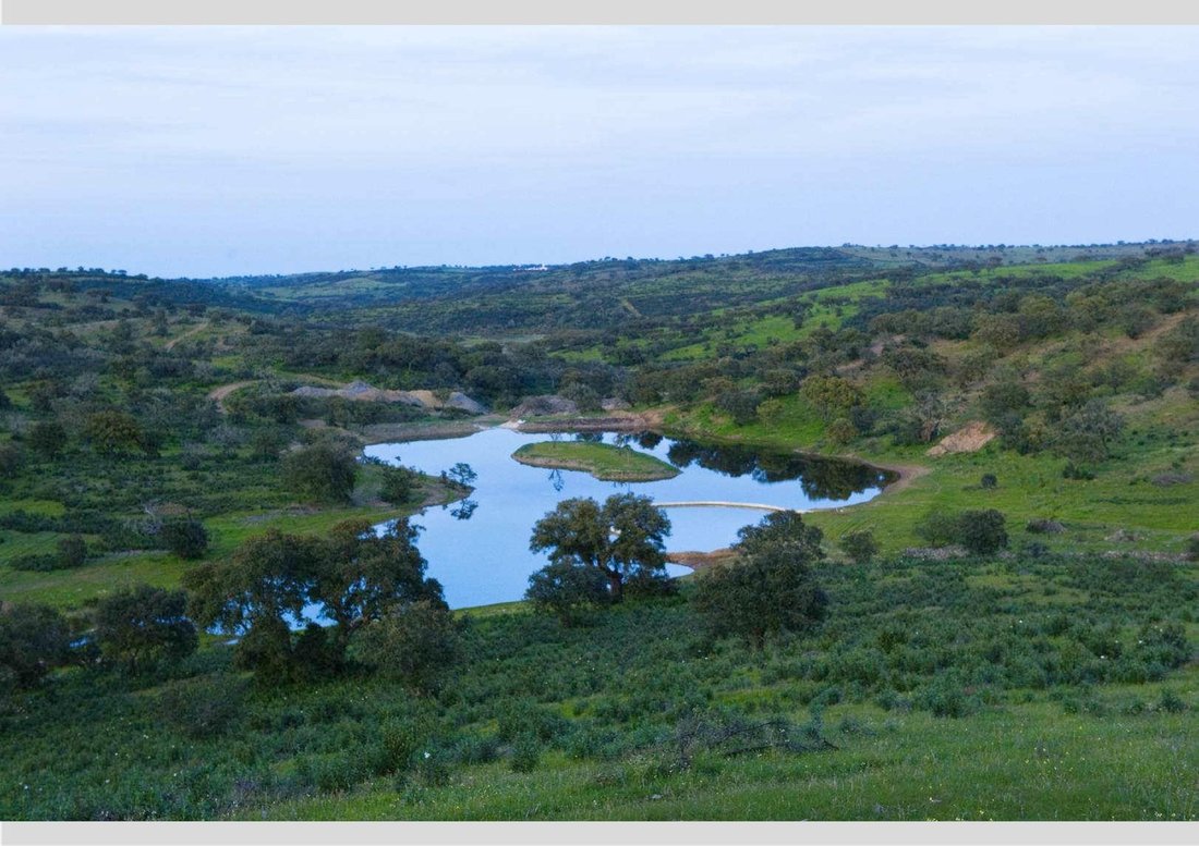 Land in Almodovar e Graca dos Padroes, Beja District, Portugal 1 - 13231256