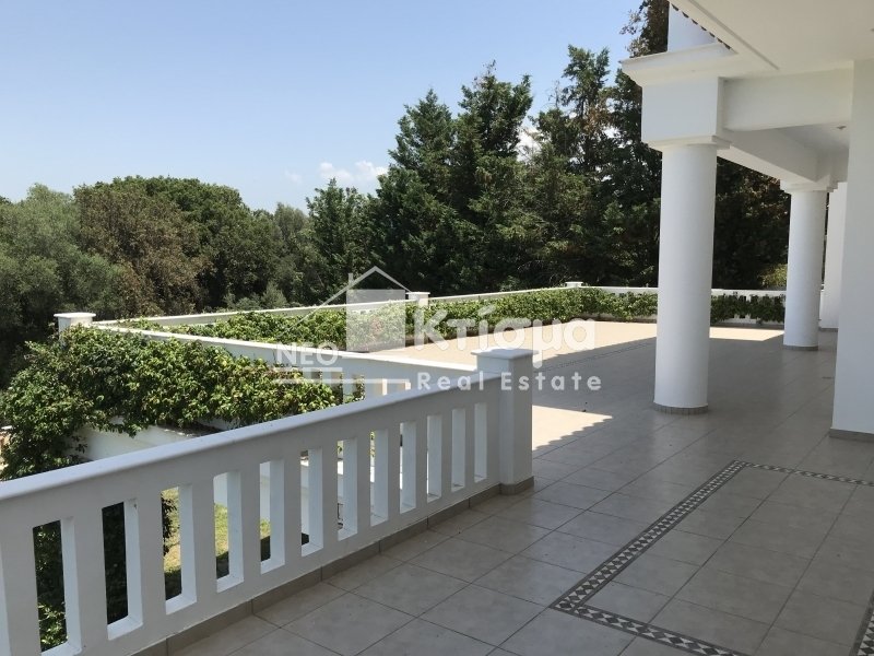 Villa in Pyrgos, Peloponnese, Western Greece and the Ionian, Greece 3 - 13236260