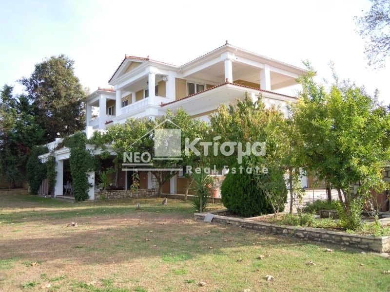 Villa in Pyrgos, Peloponnese, Western Greece and the Ionian, Greece 5 - 13236260