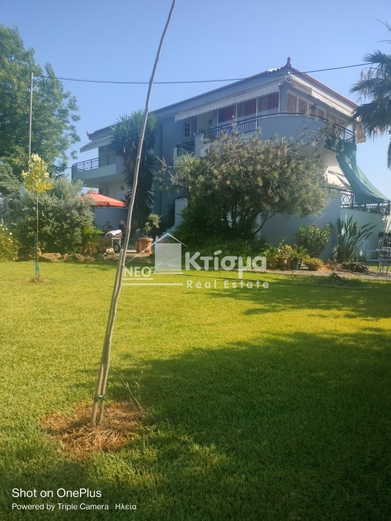 Apartment in Pyrgos, Peloponnese, Western Greece and the Ionian, Greece 1 - 13236349