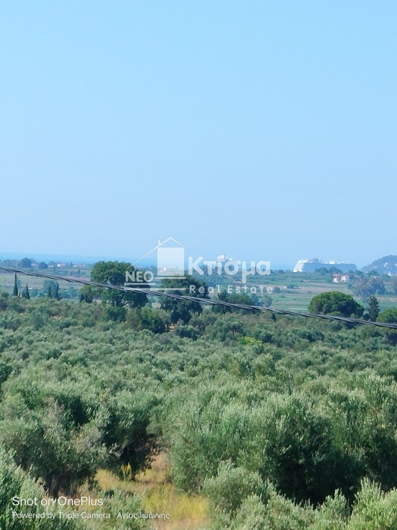 Apartment in Pyrgos, Peloponnese, Western Greece and the Ionian, Greece 3 - 13236349