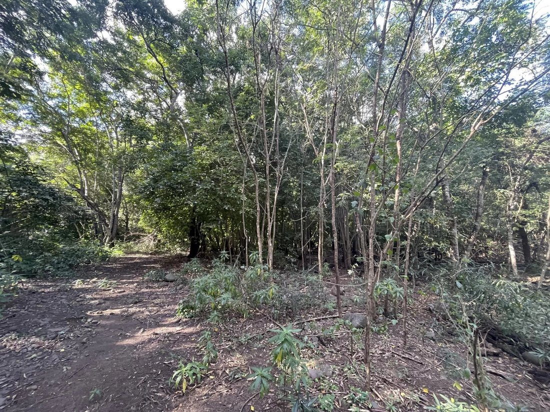 Tamarin Spacious Land In A In Tamarin, Rivière Noire District