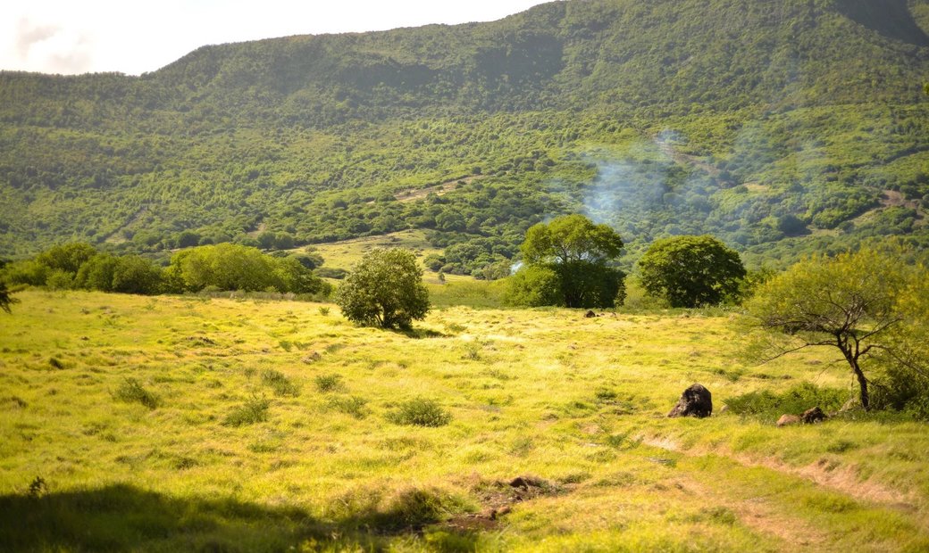 Petite Riviere Noire Beautiful Plot Of In Petite Rivière Noire