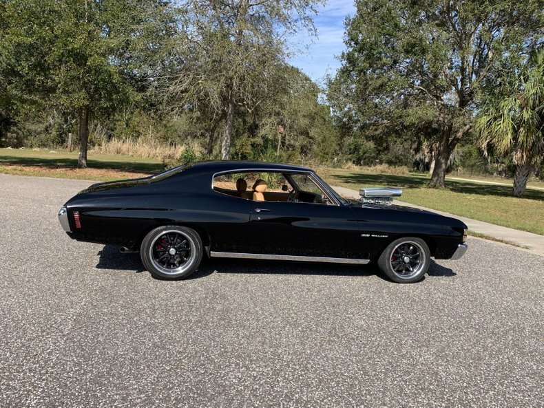 Pinellas, FL, United States 4 - 13236693