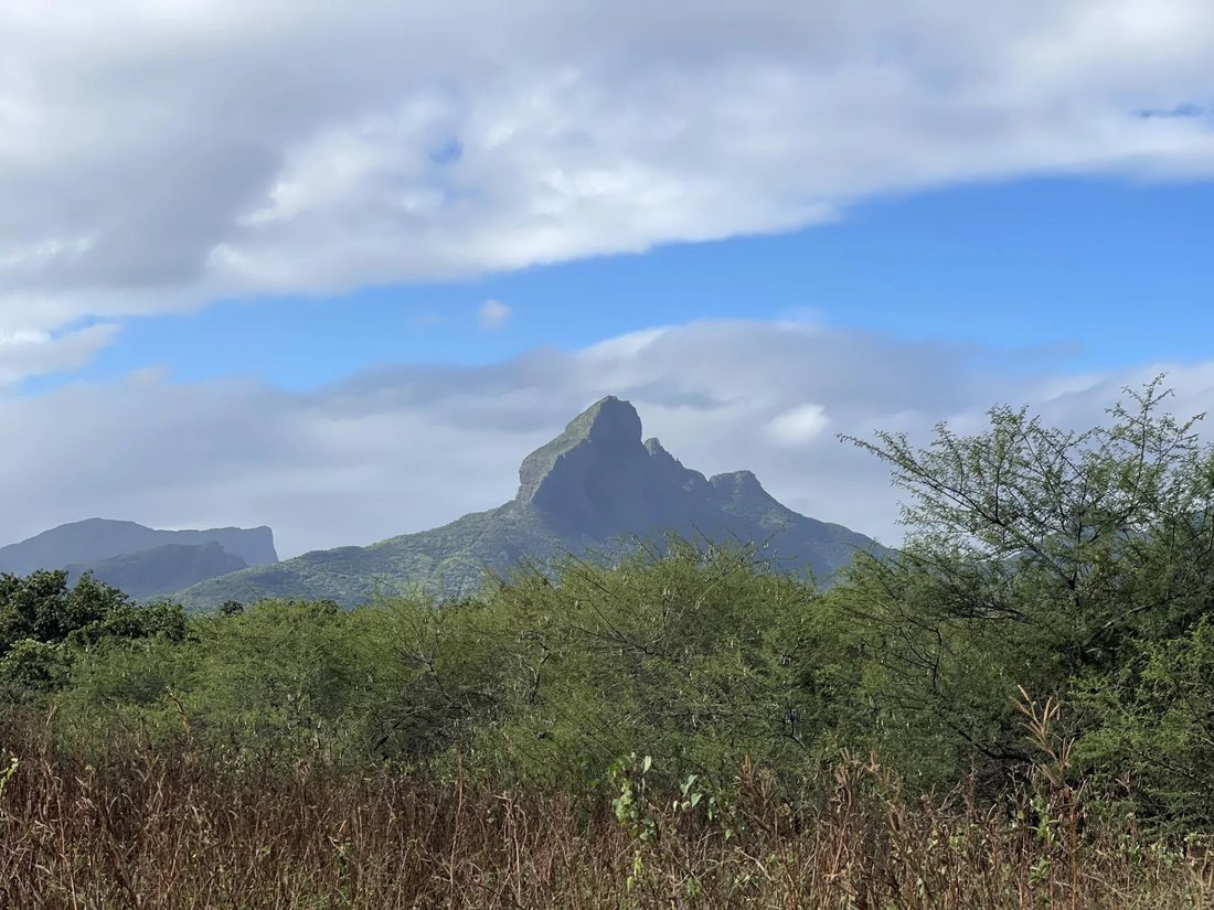 Tamarin Spacious Land In A In Tamarin, Rivière Noire District
