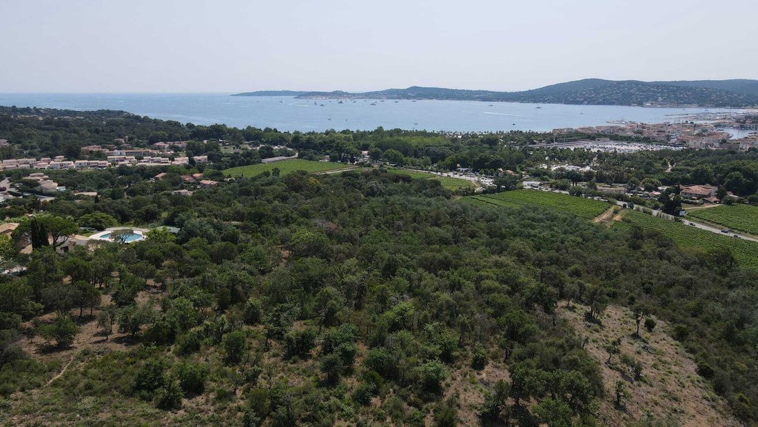 Villa in Grimaud, Provence-Alpes-Côte d'Azur, France 3 - 13245930