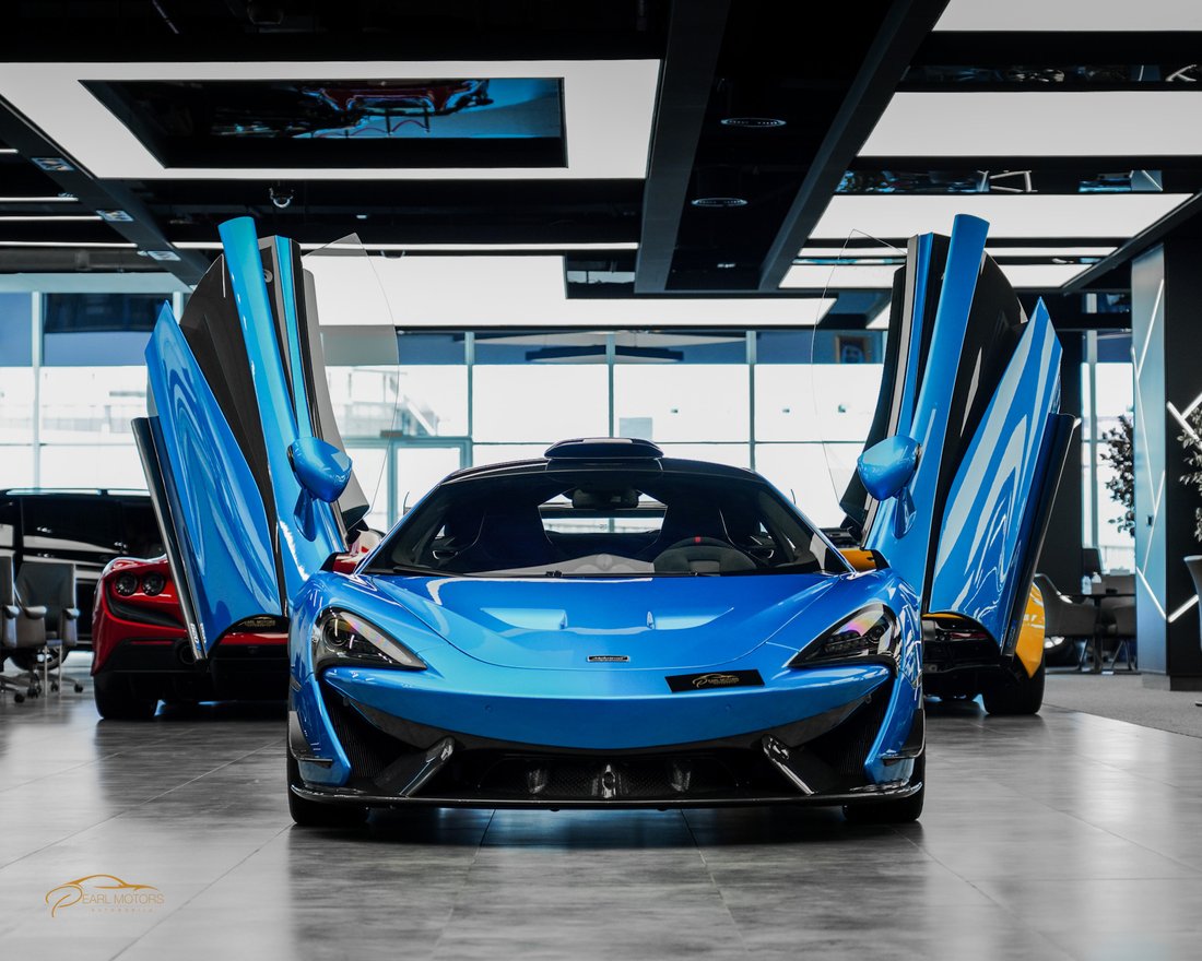 Race Car in Dubai, Dubai, United Arab Emirates 3 - 13243619
