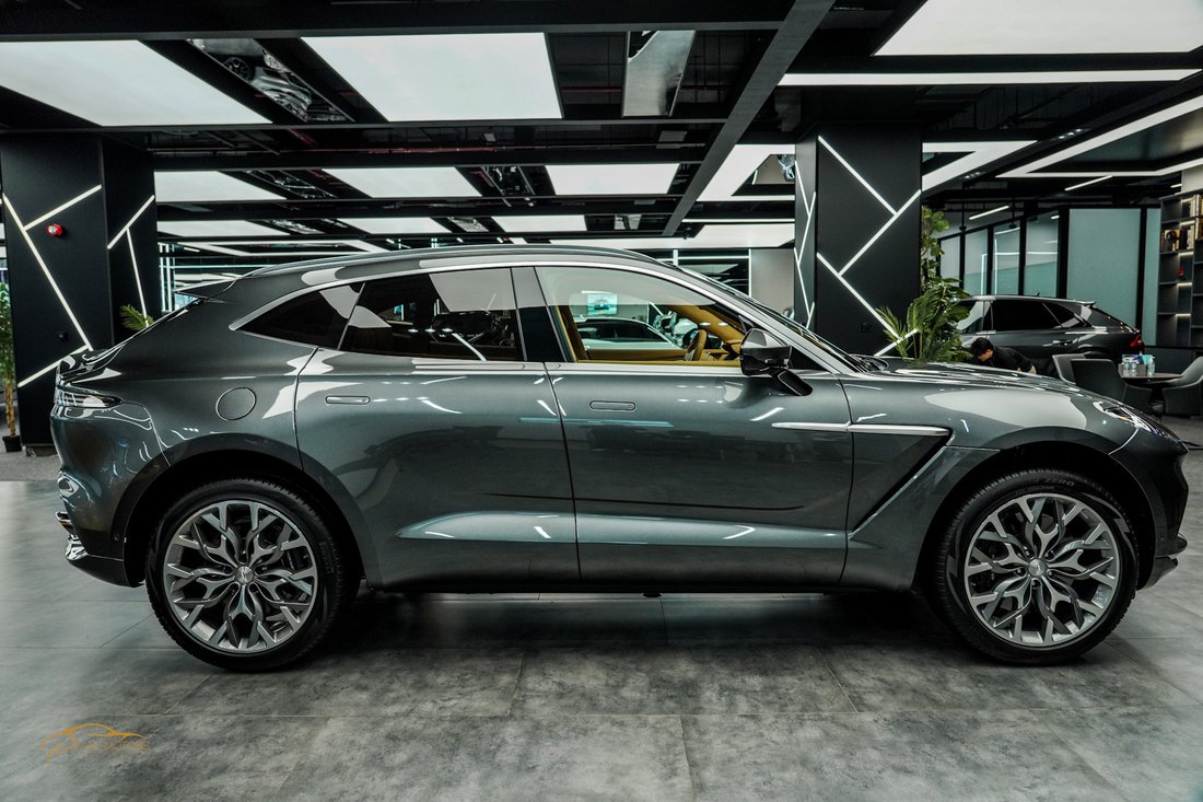 Suv in Dubai, Dubai, United Arab Emirates 3 - 13243637