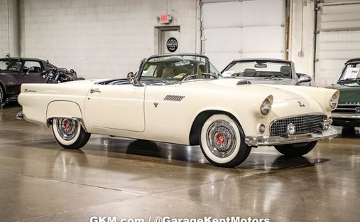 1955 Ford Thunderbird in Grand rapids, MI, United States 1