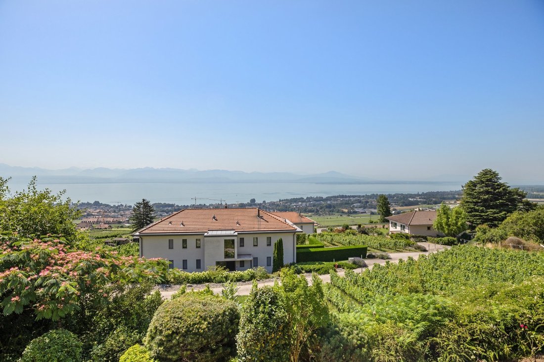 Property Nestled In The Vineyards With In Mont Sur Rolle, Vaud
