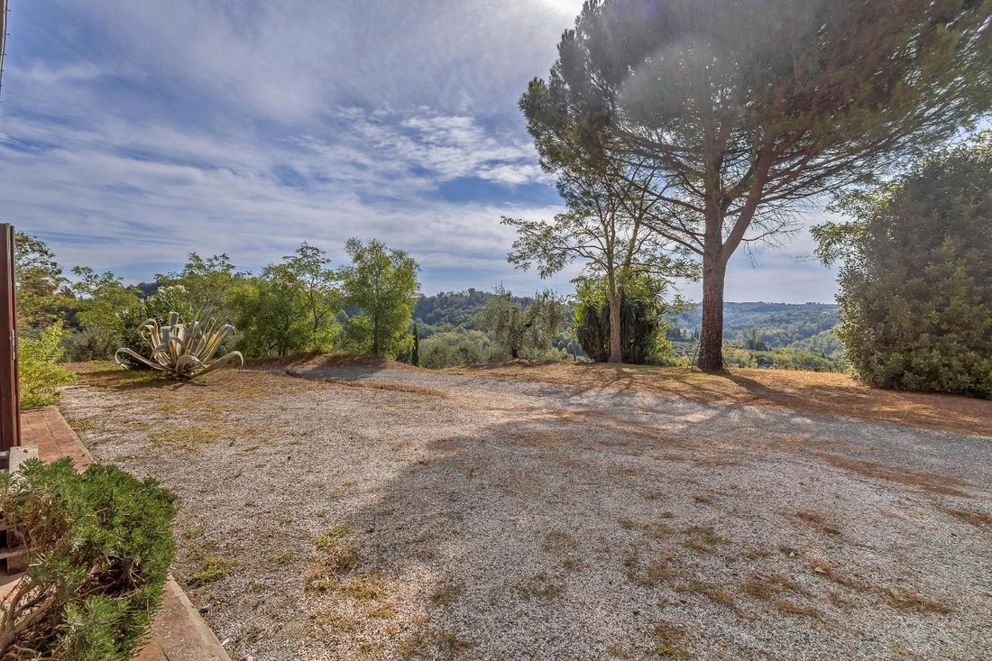 Palaia, Tuscany, Italy 5 - 13241632