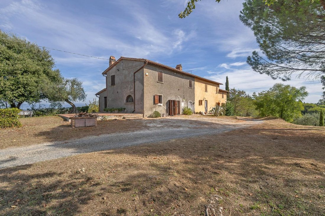 Palaia, Tuscany, Italy 2 - 13241632