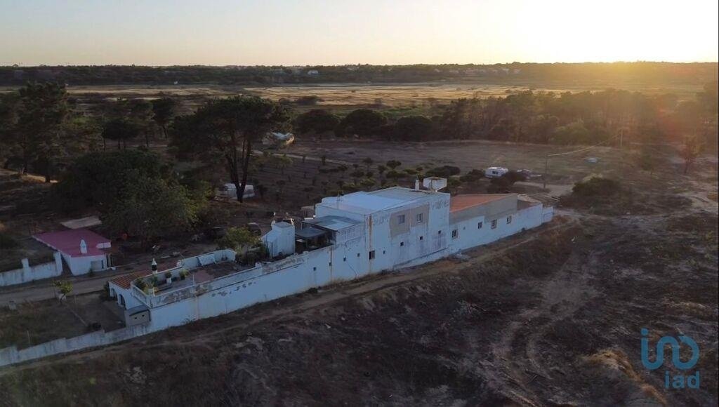 Faro Farm In Faro, Algarve, Portugal For Sale (13245814)