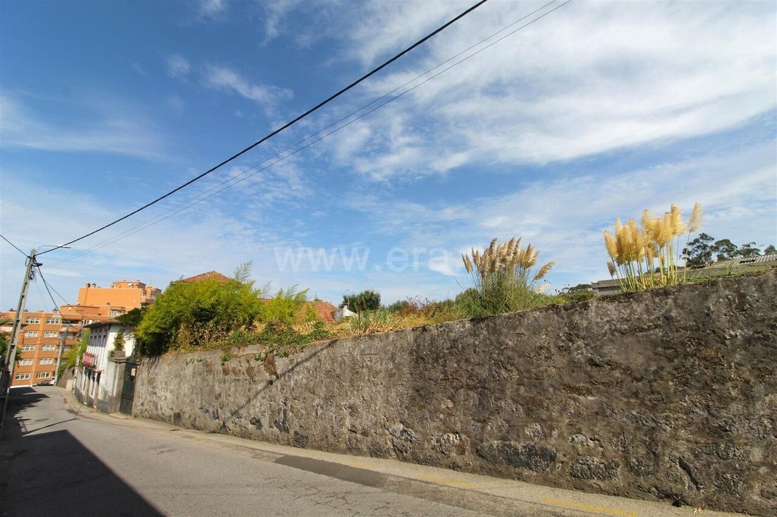 Farm Ranch in Oliveira do Douro, Porto District, Portugal 3 - 13113425