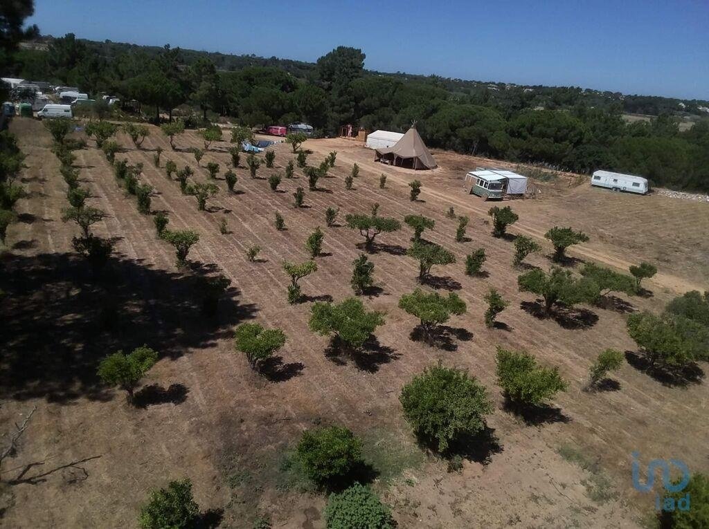 Faro Farm In Faro, Algarve, Portugal For Sale (13245814)