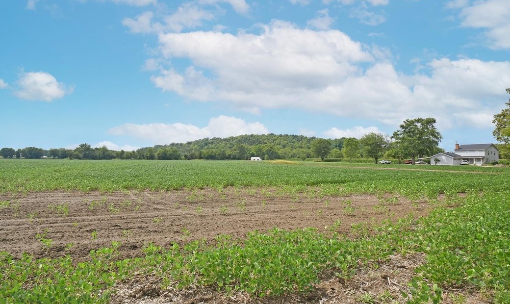 30 Acres Of Ohio Countryside In Harrison, Ohio, United States For Sale (11594860)