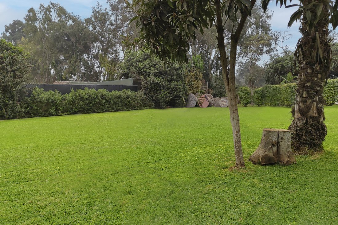 Land in Pachacamac, Metropolitan Municipality of Lima, Peru 3 - 13249451