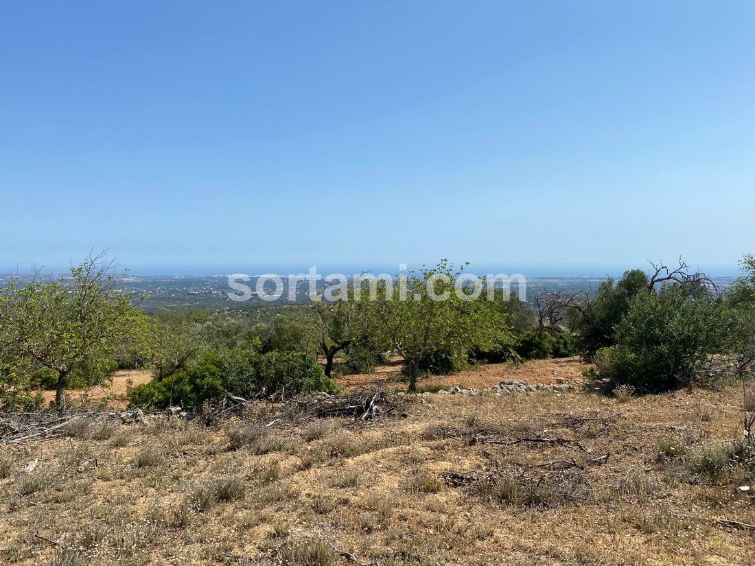 Land in Loule (Sao Sebastiao), Algarve, Portugal 3 - 13249312