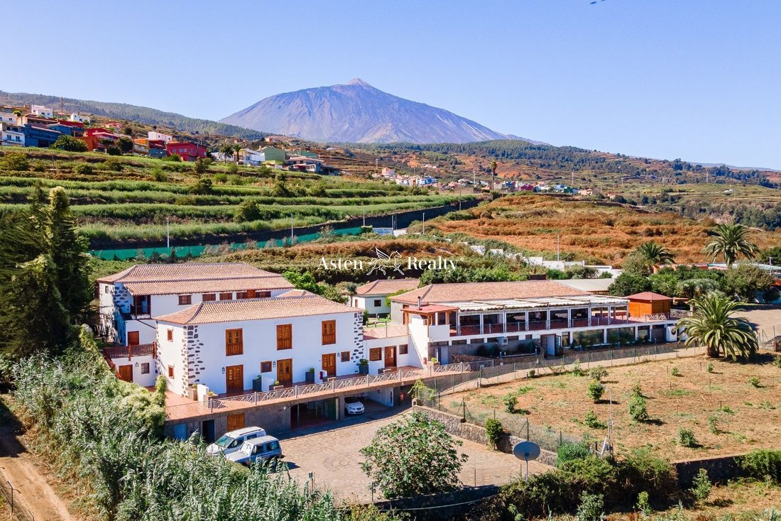Los Realejos, Canary Islands, Spain 3 - 12464658