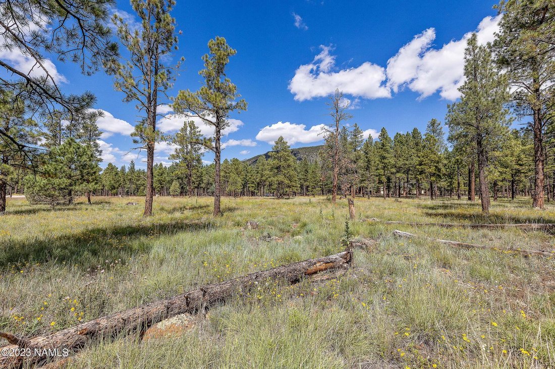 Buy Land In Flagstaff Arizona