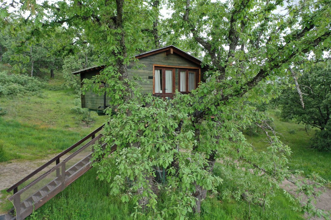 Country House in Cáceres, Extremadura, Spain 2 - 13249689